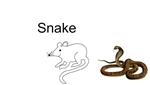 Snake by Lucas C.