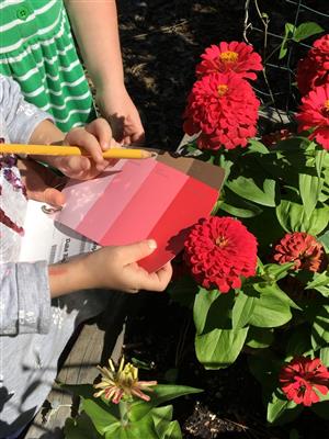 Color matching in Cedaroak's Garden 