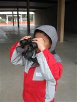 Searching for science Searching for science