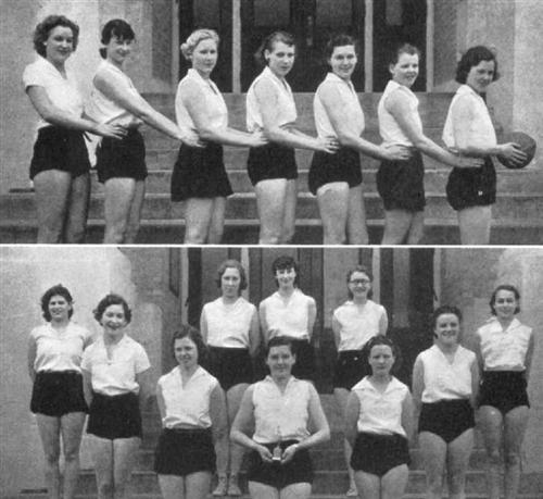 Vollyball 