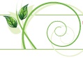 GREENR