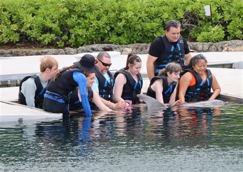 My family, friends, and I got to touch a dophin at Dophin Quest on O'ahu!