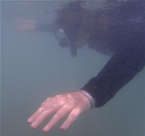I'm snorkeling in O'ahu!