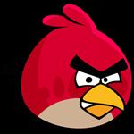 angrybird 