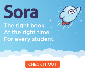 Sora app 