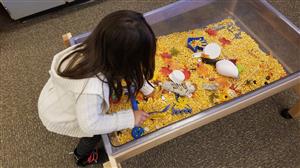 Preschooler playing in touch table filled with corn kernels. 
