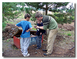 Compost Ecology 