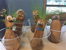 Student created grass head dolls. Student created grass head dolls.