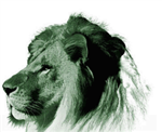 West Linn High Logo. 