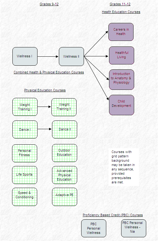 teaching learning wellness high school physical education curriculum