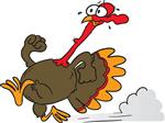turkey turkey