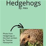 Alex's Hedgehog Book