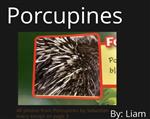 Liam's Porcupine Book 