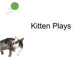 Kitten Plays by Lily