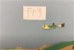 Maya Mya Salmon Video