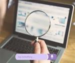 Website Evaluation Button