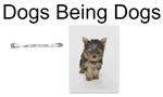 Dog Animation by Makayla