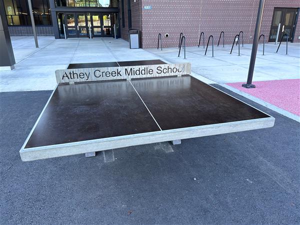 playground pin pong