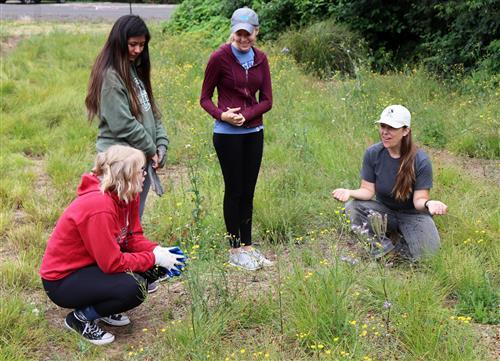High School interns work with Botanist at Metro Native Plant center