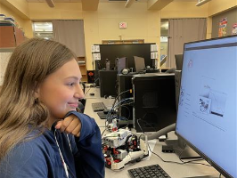Entering code into the computer software