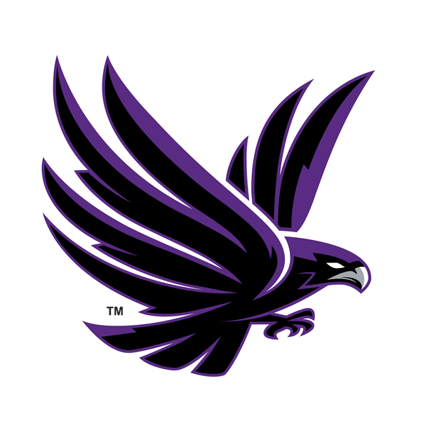 A picture of a flying bird.