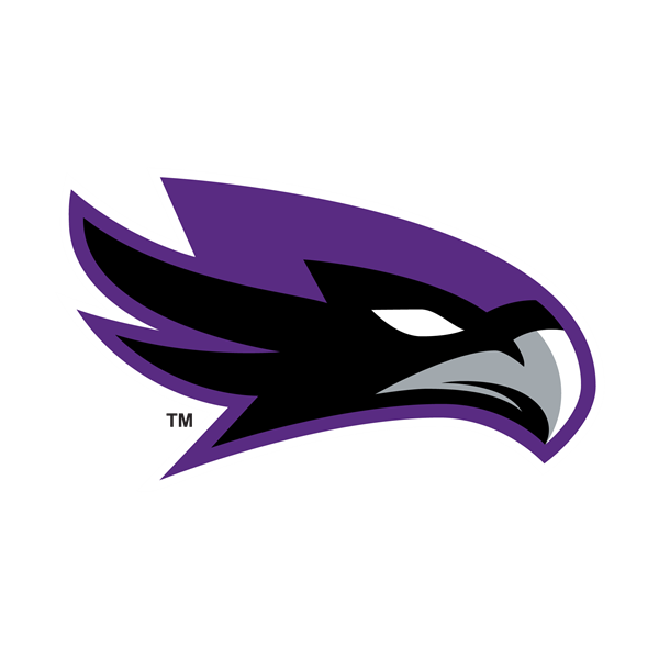 The Raptor head logo.